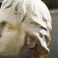 Head before.jpg